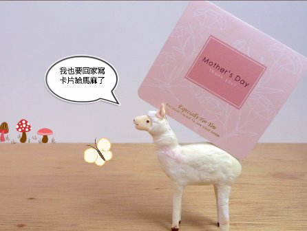4 羊駝搬一張卡片回家了