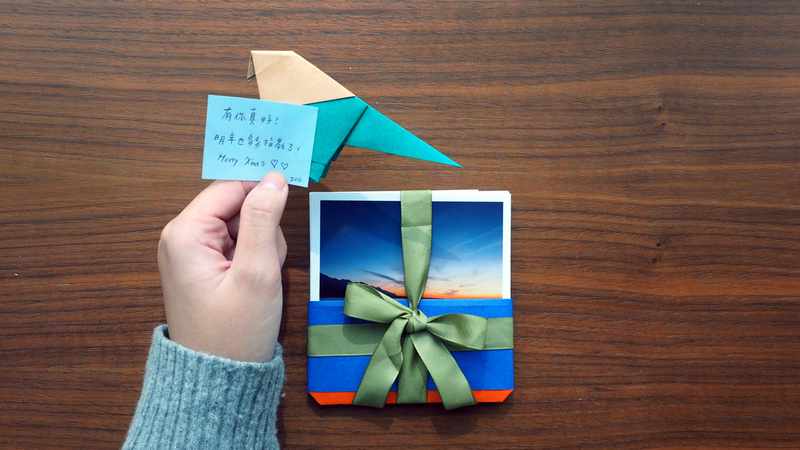 pack_parrot-1